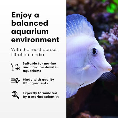 Brightwell Aquatics - Xport-BIO Block Aquarium Filter - Biological Filtration Media for Bacteria Growth, Nutrient Control and Control of Other Unwanted Nutrients - Aquarium Treatments, 12Pack, 1.5inch