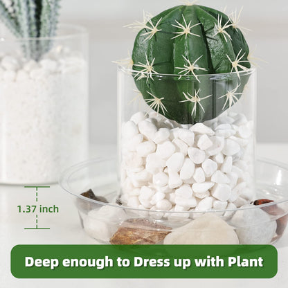 TRUEDAYS 20 Pack Plant Saucers (6 inch / 8inch / 10inch / 12inch) Clear Plant Saucers Flower Pot Tray Excellent for Indoor & Outdoor Plants