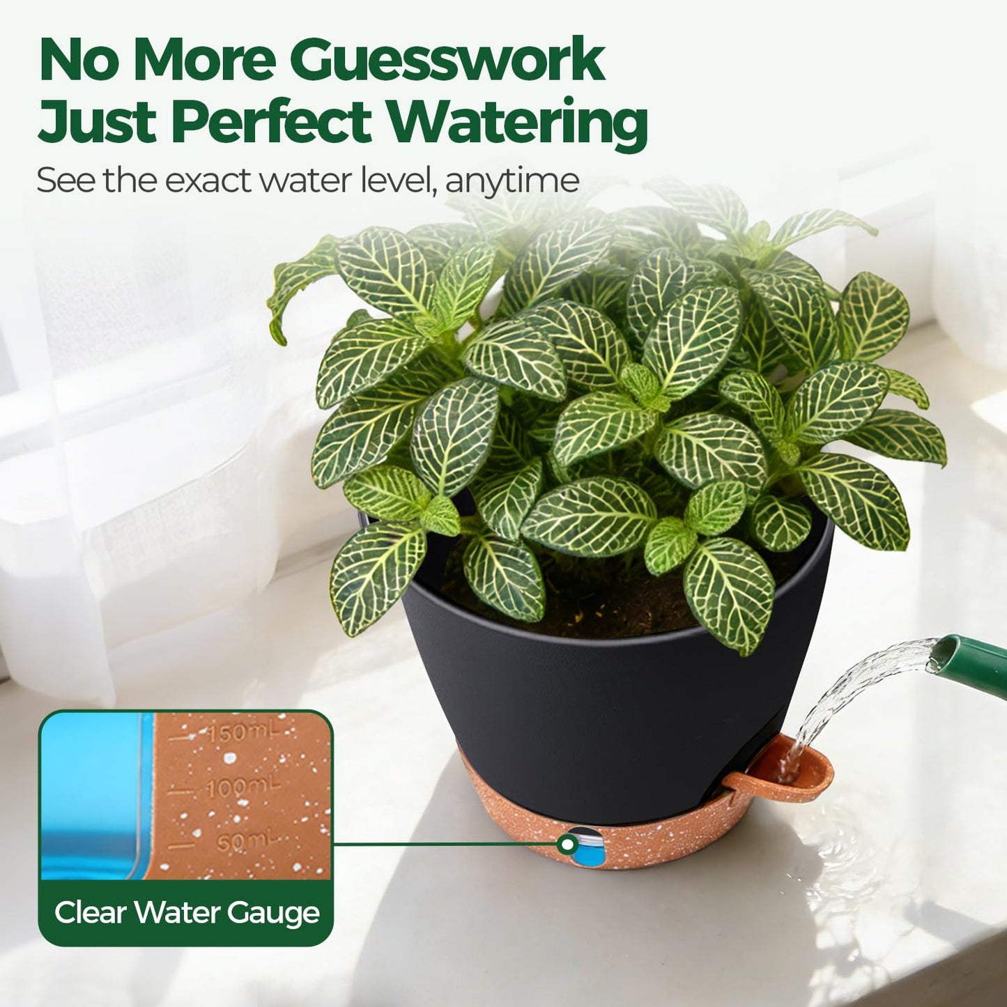 T4U 6 Inch Self Watering Pots for Indoor Plants - Mess-Free Bottom Watering Planter for Herbs/Pothos/Succulent Plants, Indoor Outdoor Use (Black, 4 Pack)