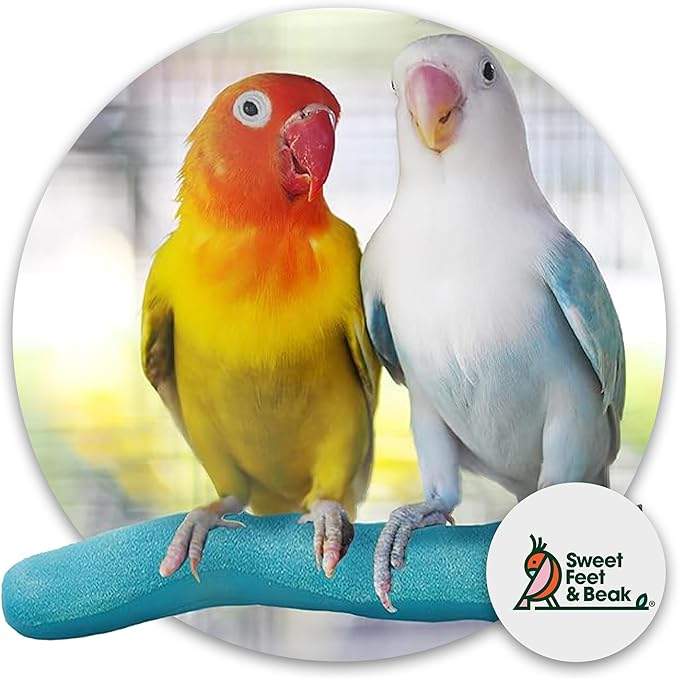 Sweet Feet & Beak Safety Pumice Bird Perch, X-Small 1/2" X 6", Lightweight Grinding Bird Perches for Cage - Bird Nail Trimming Perch for Healthy Beak & Feet - Multi-Size & Color Parrot Stand - Purple