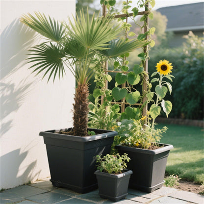 YSMN 10 Pcs 1.4 Gallon Black Square Nursery Pots with Drainage Holes and Plant Flexible Seedling Pots Seed Starting Planter for Indoor Outdoor Flowers