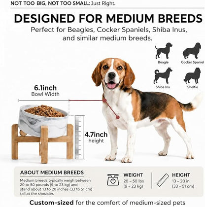 hjn Elevated Ceramic Dog Bowl 15°Slanted Raised Dog Bowl with Bamboo Stand for Small Medium Dogs and Cats, Pet Feeder -3.6-Cup (850ml)-Marble Gray