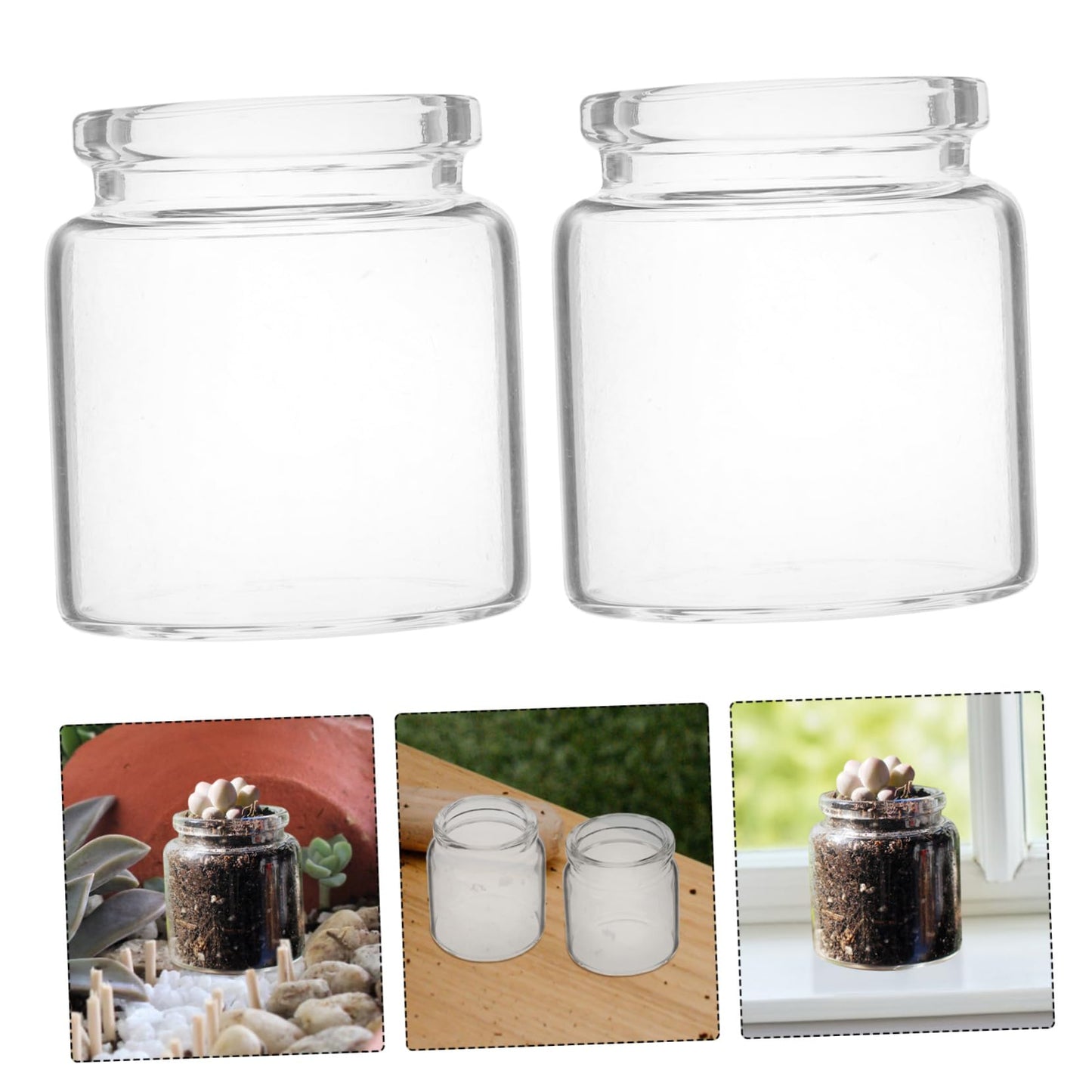 BESPORTBLE 10pcs Stylish Miniature Glass Bottles for Succulents Plant Propagation Tubes Micro Landscape Terrariums