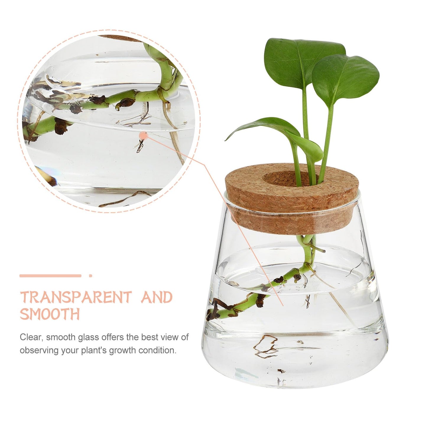 CONGARTENO 2pcs Glass Terrarium Vases for Hydroponics Plants, Small Glass Containers with 6.5cm Opening, Desktop Plant Holders for Office and Home Gardening