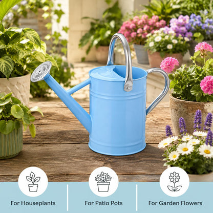 1 Gallon Metal Watering Can for Indoor Outdoor Plants, Galvanized Steel Watering Can with Removable Spout, 2 Stainless Steel Handles, Garden Flower Watering Pot