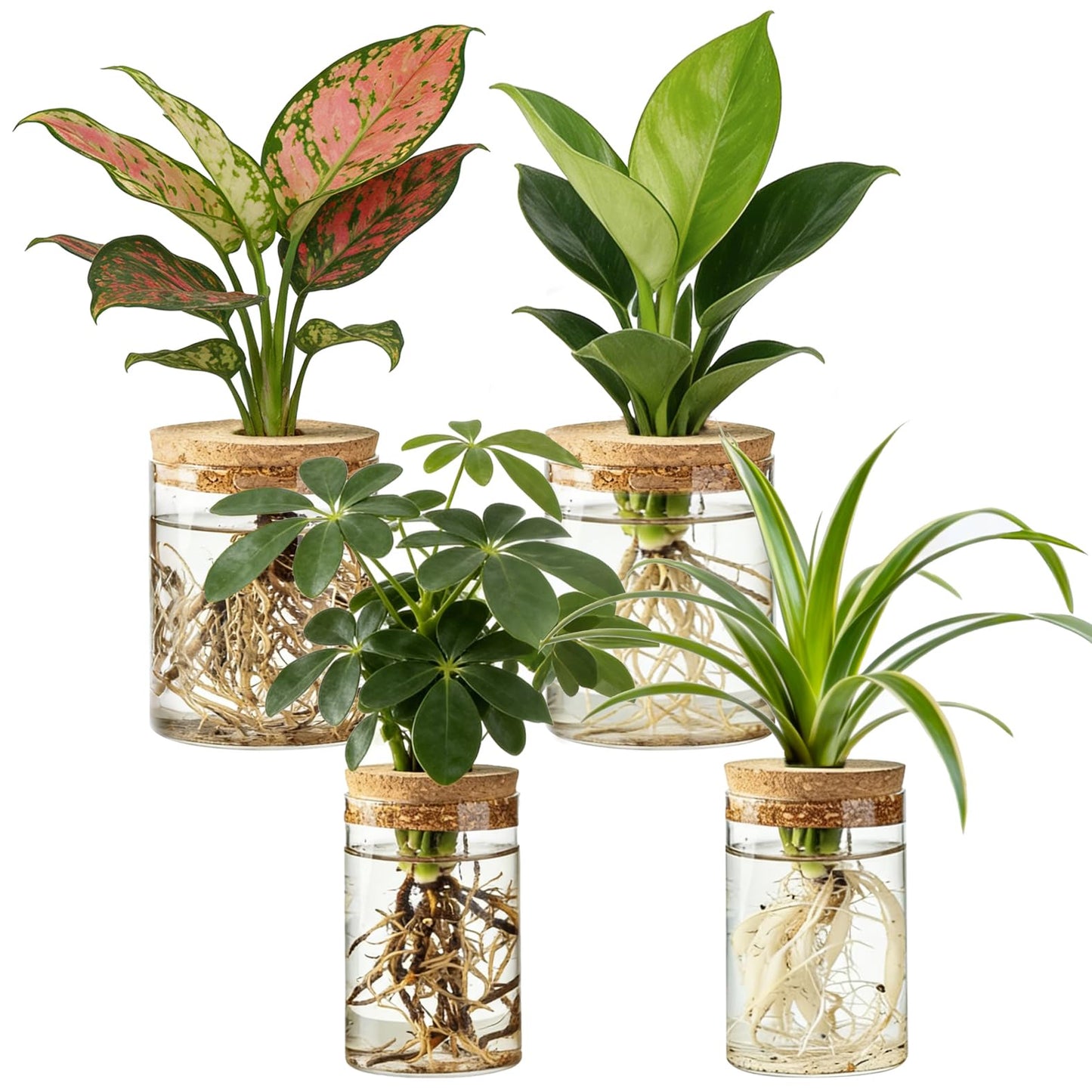 Dahey 4Pcs Glass Plant Propagation Stations Desktop Propagation Vases for Plants, 2 Large Planters Jars & 2 Small Pots Vases for Indoor Hydroponic Plant Cuttings, Living Room Home Office Bedroom Decor