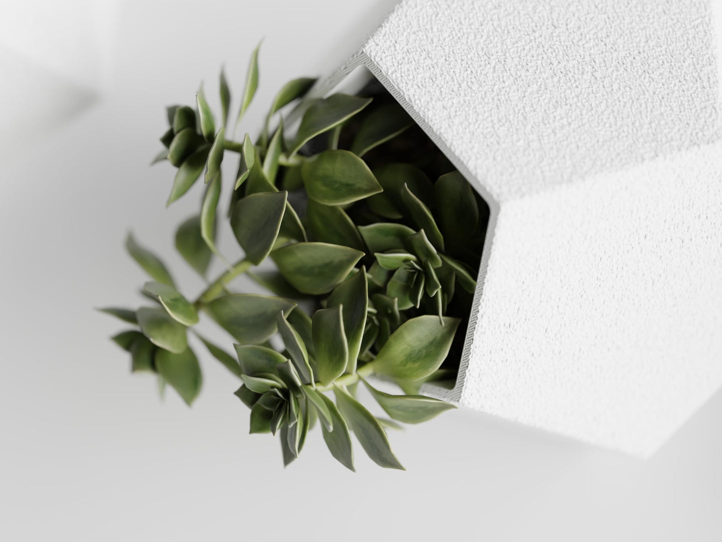 Gallery of Drip 【GeoTrio Modern Geometric Planters】– 3-Piece Faceted Pot Set for Succulents, Cactus, and Indoor Plants – Minimalist Desk Decor, Stylish Gift for Plant Lovers (Pure White)