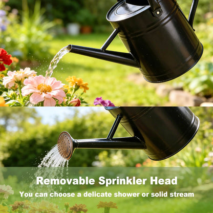 Watering Can for Outdoor&Indoor Plants，1 Gallon Metal Watering Can with with Removable Spout，Galvanized Steel Garden Flower Water Can Plant Watering Pot with 2 Handles，Black