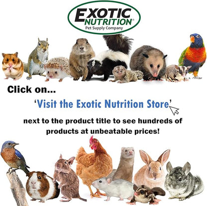 Exotic Nutrition All-Natural Nesting Material (4 oz.) - 100% Cotton Eco-Friendly Animal Bedding - for Sugar Gliders, Squirrels, Hamsters, Rabbits, Wild Birds & Wildlife