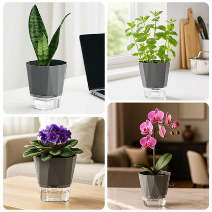 6 Pack Self Watering Pots for Indoor Plants, 5 Inches Self Watering Planters African Violet Self Watering Clear Pots for Plants Herb Orchid Flower Houseplant, Dark Grey