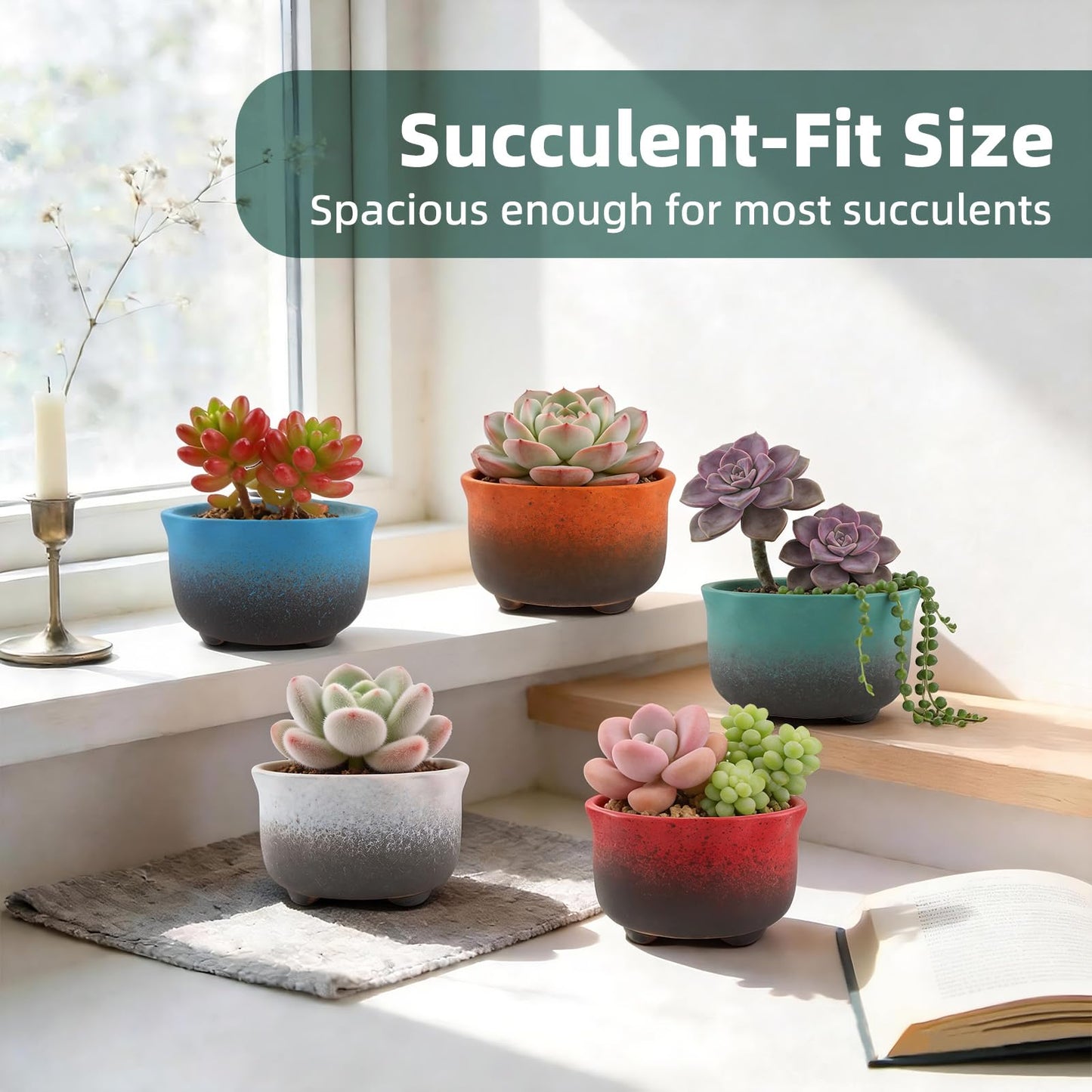 ginojex Small Ceramic Garden Pots Succulent Plant Planter Container with Drainage Set of 5 for Home Office Decor