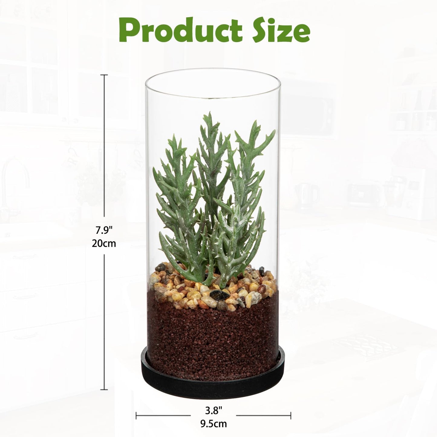 GnFlus Artificial Succulent in Cylindrical Glass Vase Small Fake Senecio Plant with Modern Glass Terrarium Faux Plants Indoor Gift for Plant Lover Decor for Home Office Table Desk Shelf