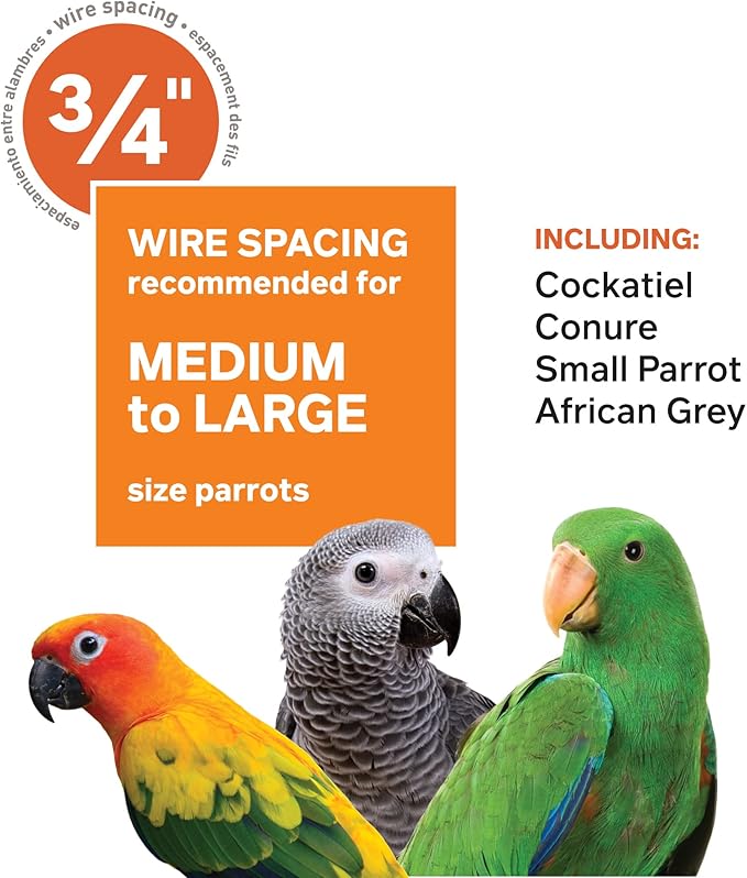Prevue Hendryx Pet Products Wrought Iron Select Bird Cage 3153COCO, Coco Brown, 30-Inch by 22-Inch by 63-Inch