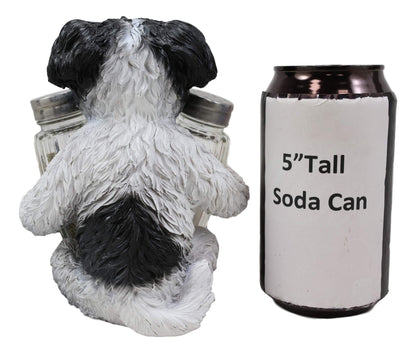 Ebros Gift Realistic Adorable Hugging Pooch Shih Tzu Mini Toy Breed Dog Decorative Glass Salt Pepper Shakers Holder Resin Figurine 6"Tall Animal Pet Pal Kitchen Helper Spice Organizer Accent Statue