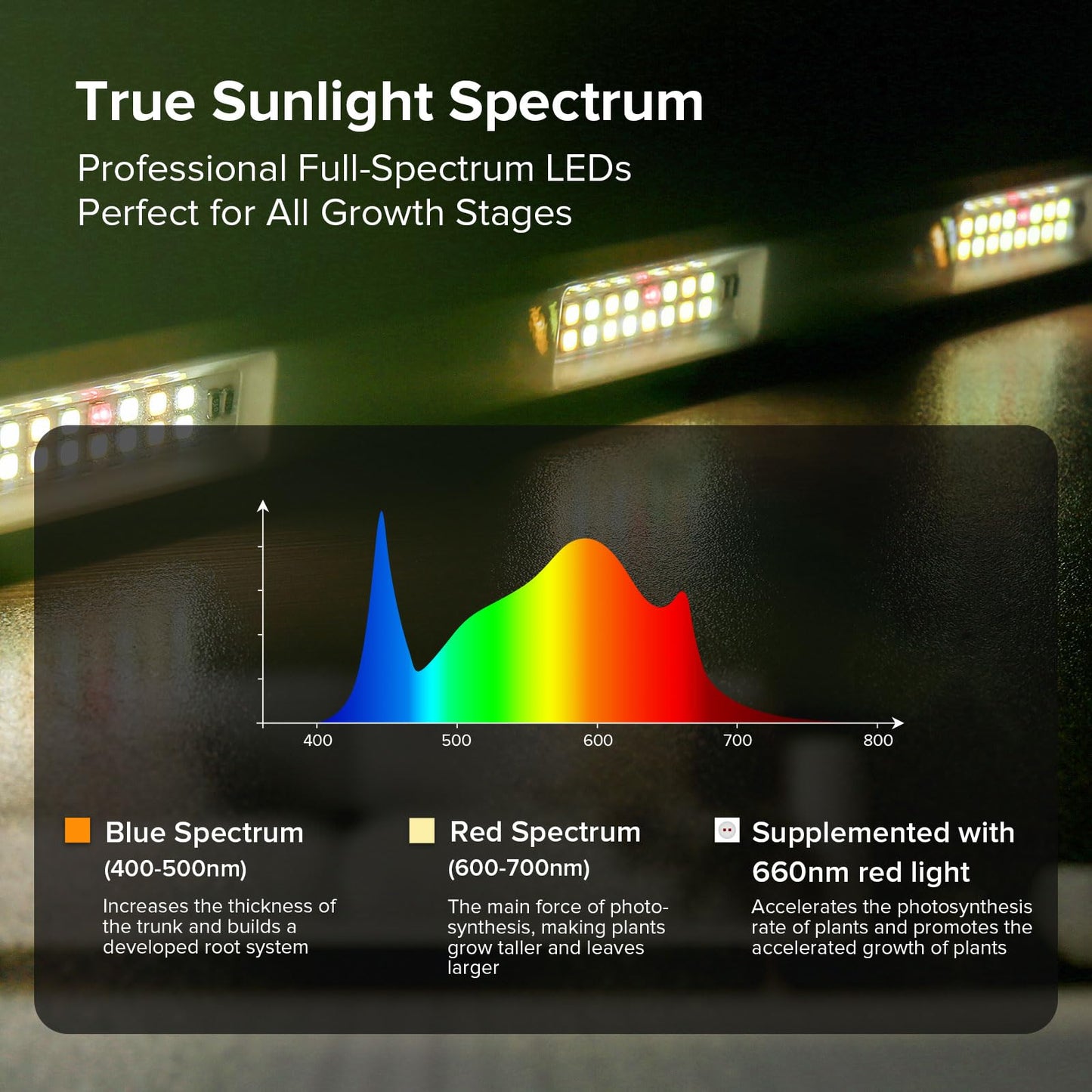 SGLEDS 55W Standing Plant Grow Light for Indoor Plants, Full Spectrum Grow Lights with Dimmer & Timer, Plant Lights for Large Houseplants, Indoor Garden Rack, Balcony & Greenhouse
