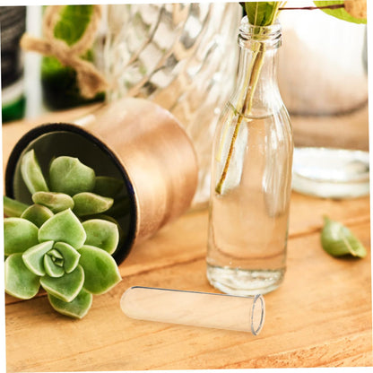 Toddmomy 5pcs Glass Test Tube Vase for Air Plants Live Houseplants Propagation Station Terrarium Plants