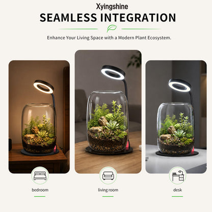 5X Aperture Glass Terrarium Grow Light with Full Spectrum LED for Indoor Plants, Mini Desk Plant Growing Lamp for Succulents & Moss, 3 Modes, 10 Brightness Levels, Height Adjustable