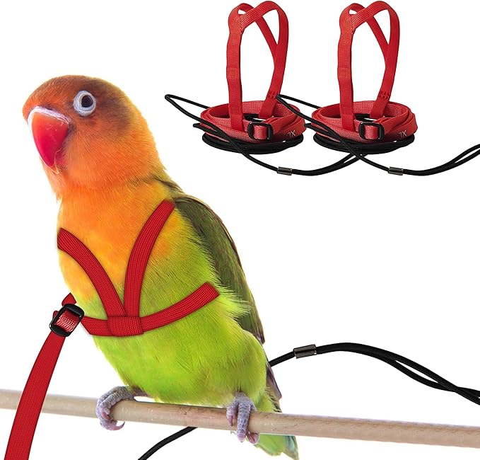 2 pcs Pet Parrot Bird Harness and Leash, Adjustable Training Design Anti-Bite, Outdoor Flying Training Rope Kit for Bird Parrots Fits Birds Chest Between46-76cm /18.11-29.92inch - XL (red)
