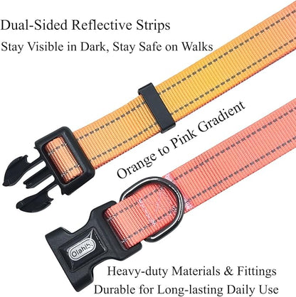 Dog Collar Leash Set, Gradient Color, with Safety Reflective Strips, 5 ft Matching Leash, Neoprene Padded Handle, Adjustable 4 Sizes for Small Medium Large Dogs.(L, Orange Pink)