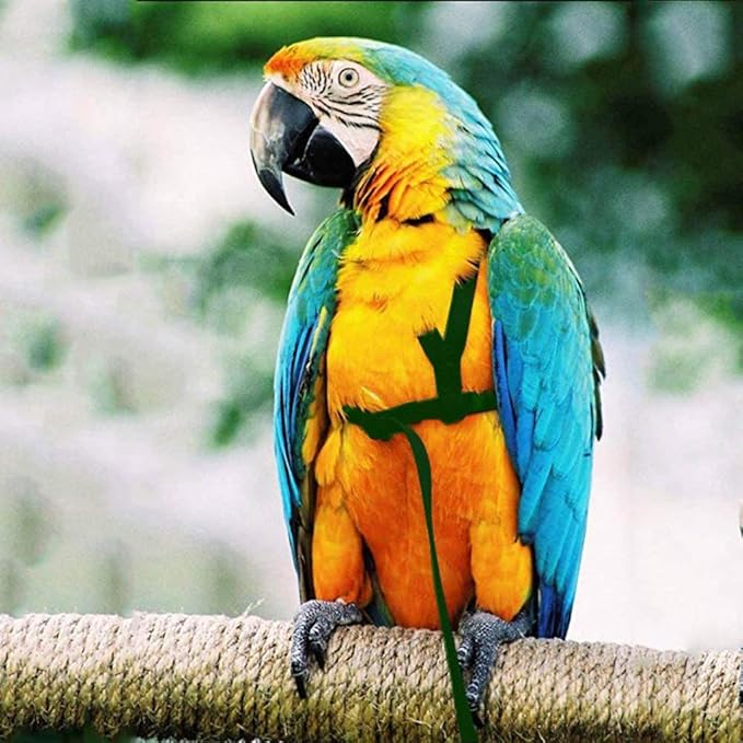 XISAOK Parrot Bird Harness Leash Supplies Adjustable Anti-Bite Training Rope Outdoor Activities Flying Traction Straps Band