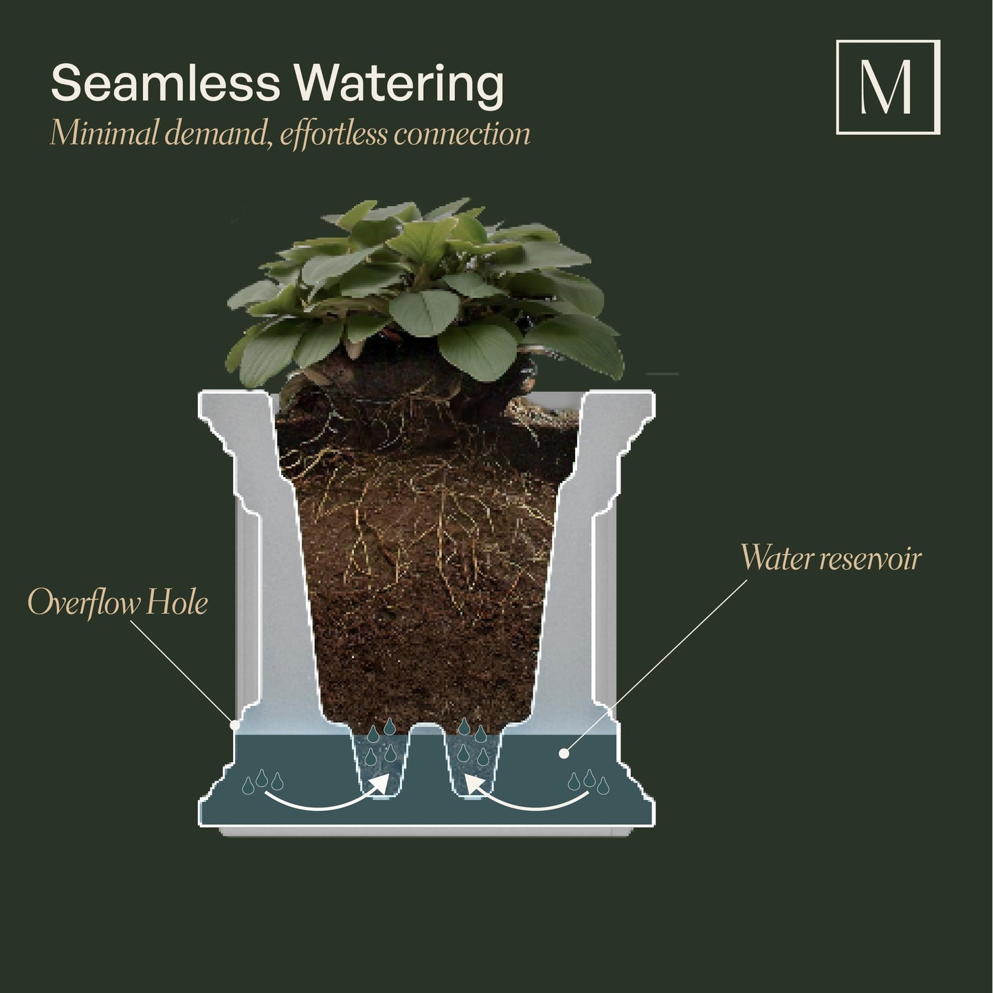 Mayne Cape Cod 16-Inch Square Planter – Self-Watering, Weather-Resistant Planter for Flowers – Durable Outdoor Design for Patio, Porch, or Entryway