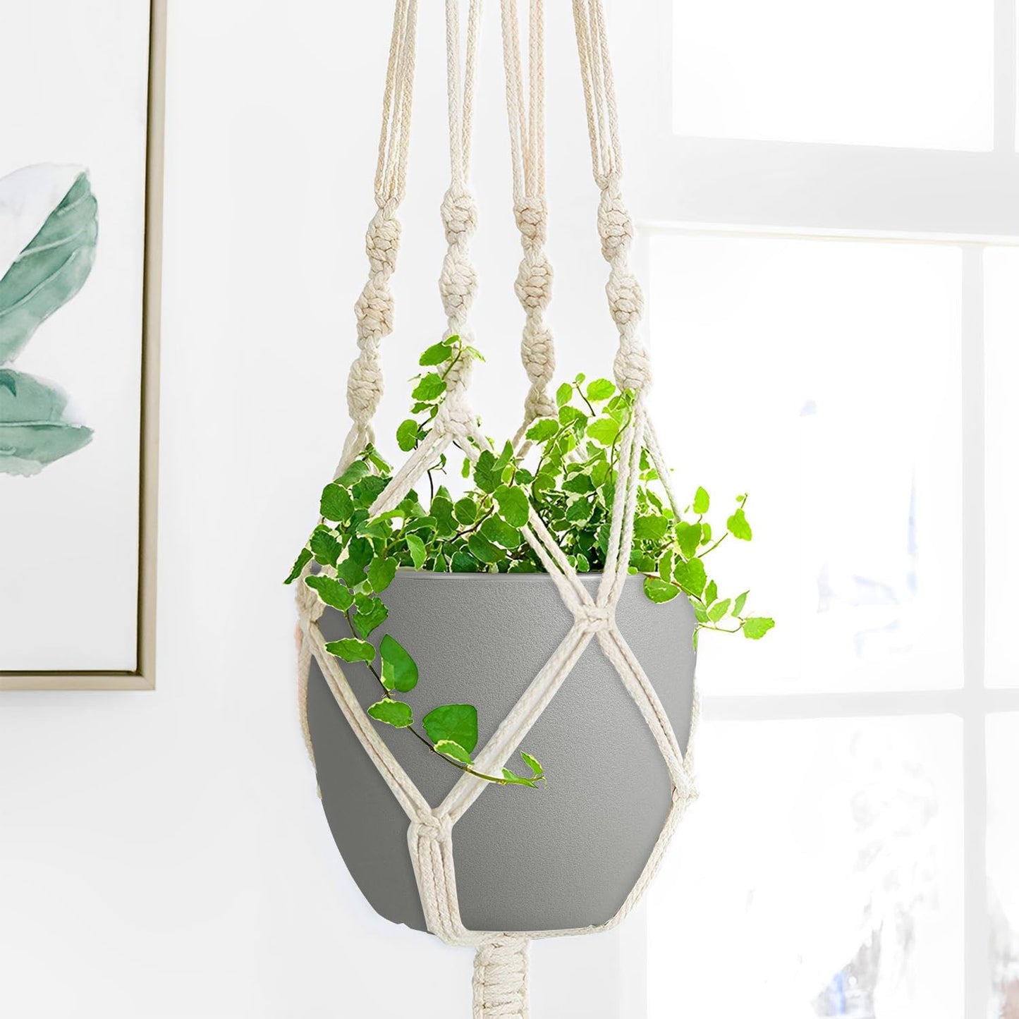 Plant Pots 8 Inch Set of 2, Flower Pots with Multi Mesh Drainage Holes