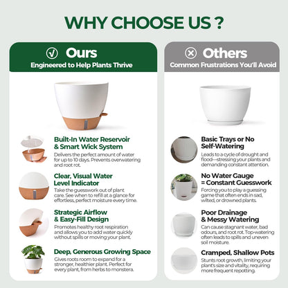 T4U 12 Inch Self Watering Pot - Water Level Indicator & Deep Reservoir, Mess-Free Planter for Busy People, Beginners & Gardeners, Fits Rubber Tree/Fiddle Leaf Fig Plants, Indoor Outdoor Use (White)