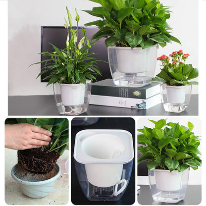 Sungmor Clear Self Watering Planter for Indoor Plants, 3 Pack 6.9 Inch Plastic Violet Flower Pots, Square Watering Plant Pot for House Plants,Orchid,Succulents, Herbs