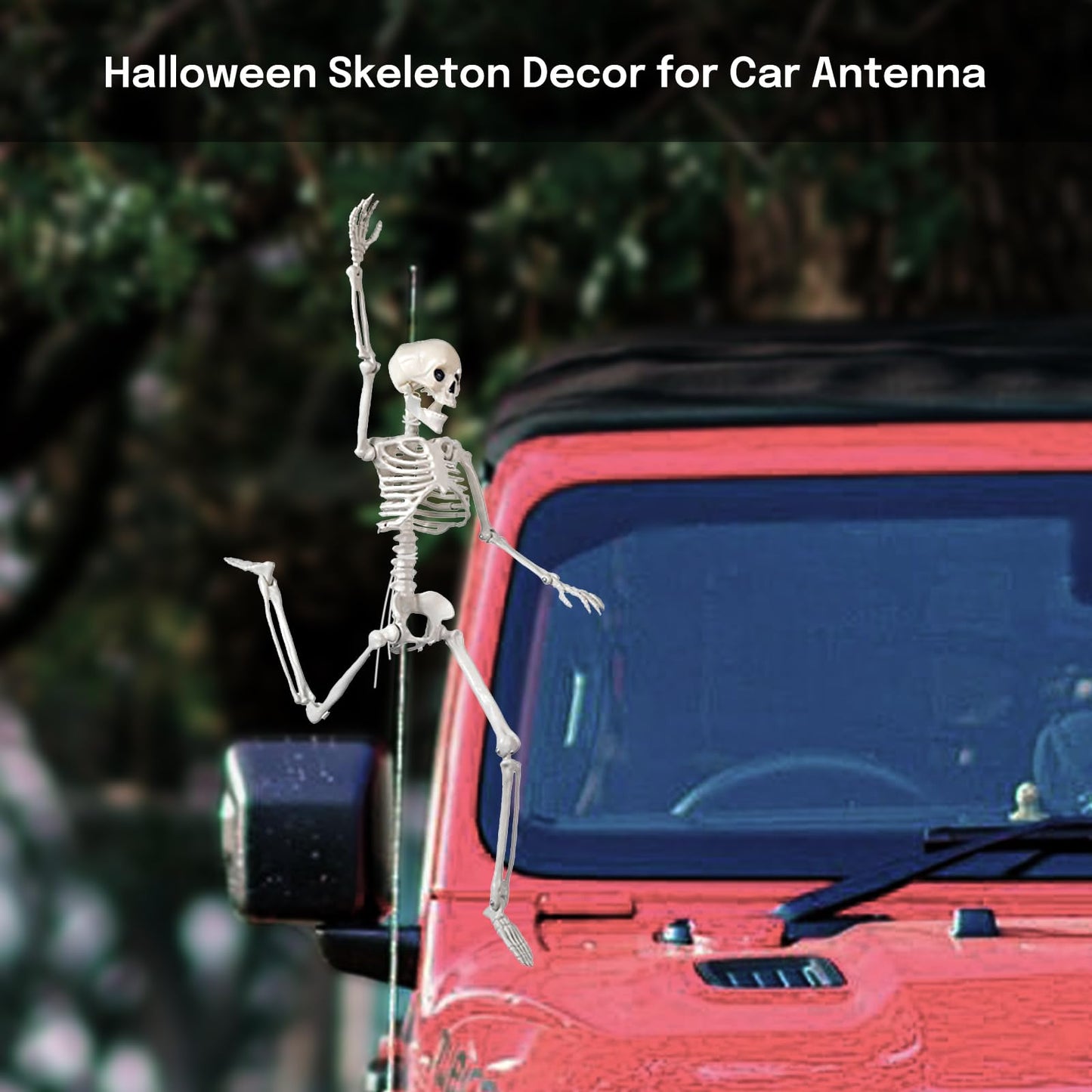 16" Small Posable Halloween Skeletons Decorations: 5 Pack Durable Plastic Scary Skeleton Props – Realistic Full Body Bones, Reusable Indoor & Outdoor Yard, Garden, Haunted House & Party Decor