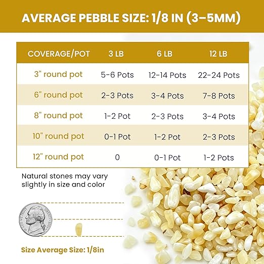 1/8 Inch Aquarium Gravel, Small Pebbles for Fish Tank, Indoor Plants & Succulents, Natural Mini River Rocks for Drainage, Terrarium, Top Dressing & Vase Filler, Cream Beige, 3LB