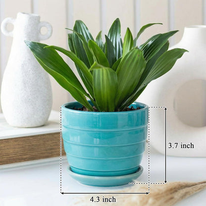 Elsjoy 6 Pack 4.3 Inch Ceramic Succulent Pots with Drainage and Attached Saucer, Small Decorative Succulent Planter Cute Ceramic Flower Pots for Home, Garden