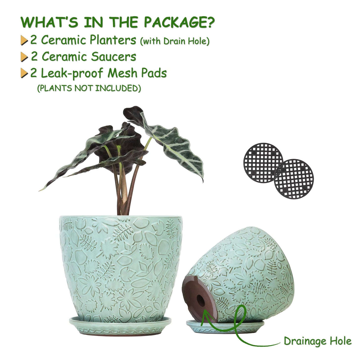 Bestseler 8 Inch + 6 Inch Plant Pots for Indoor Plants, Ceramic Planter with Drainage Hole and Saucers, Garden Pots for Succulent, Orchid, and Flower, Set of 2
