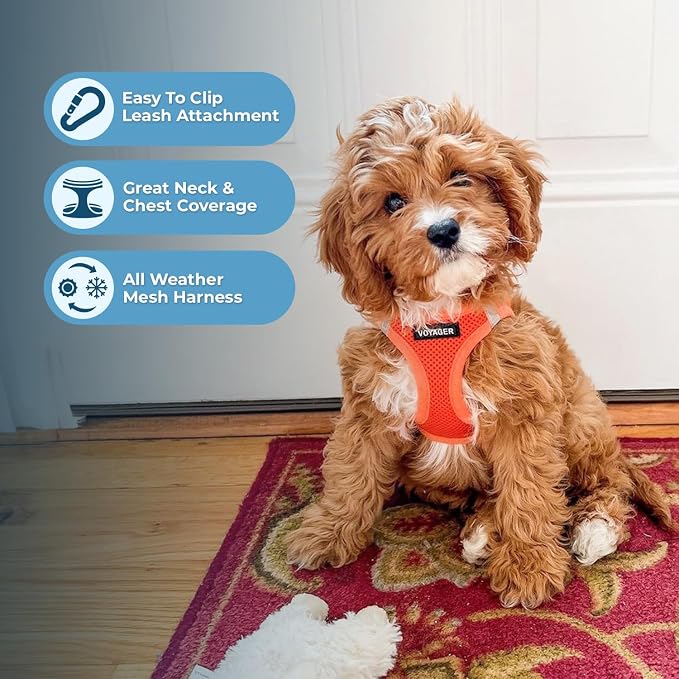Best Pet Supplies Voyager Step-in Air All Weather Mesh Harness and Reflective Dog 5ft Leash Combo with Neoprene Handle, for Small, Medium and Large Breed Puppies - Orange, Medium
