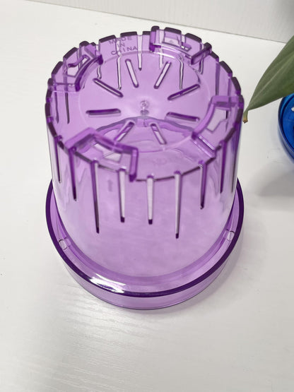 RISEON 3 Pack Clear Acrylic Plastic Orchid Pots with Holes and Saucers,Thick Acrylic Planter Pot, Orchid Dendrobium Oncidium Cattleya Repotting Pot Indoor Outdoor (Violet)
