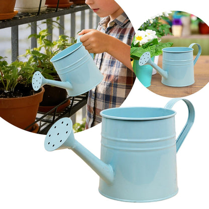 Metal Watering Can with Sprinkler,1L,0.26 Gallon Galvanized Tinplate Small Watering Can for Indoor Outdoor Plants, Garden Tool for Flowers Succulents and Balcony (Sky Blue)