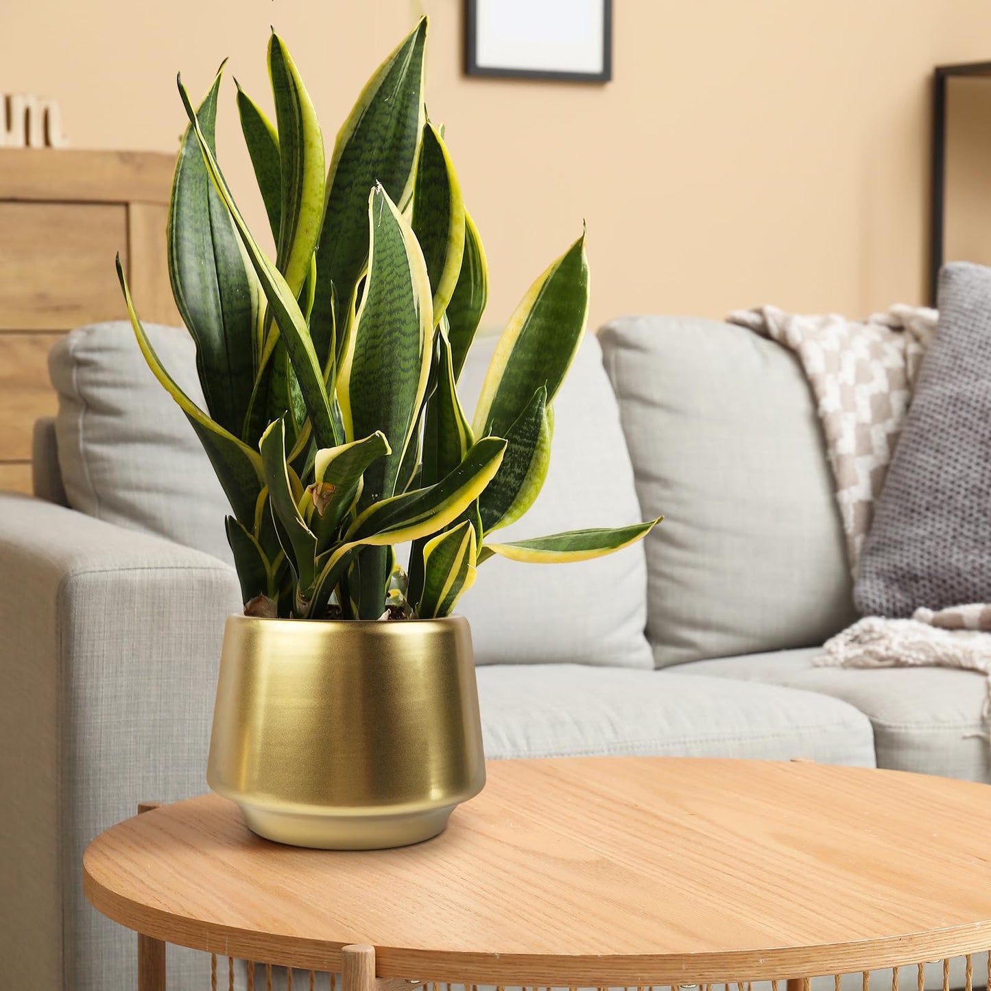 Decor Trends Gold Planter Flower Pots 6 inch Decorative Plant Pots for Indoor Gold Brass Succulent Plant Pots Containers (Dia 6 inch), Small 5.9‘’