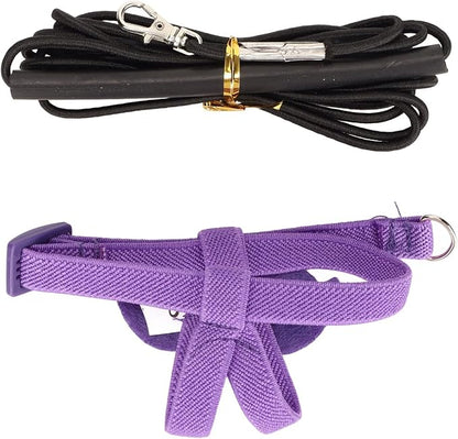 Bird Harness and Leash Adjustable Bite Traction Rope for Training or Outdoor Walks Bird Accessories (Purple)