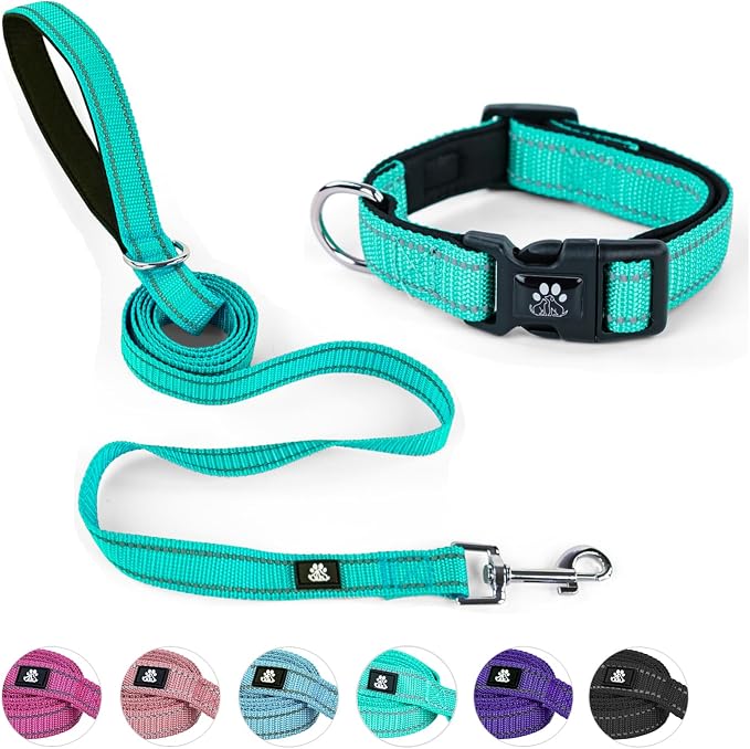 NESTROAD Dog Collar and Leash Set,Reflective Dog Collars with Quick Release Buckle,Adjustable Nylon Pet Collar for Small Medium Large Dogs(Medium,Teal)