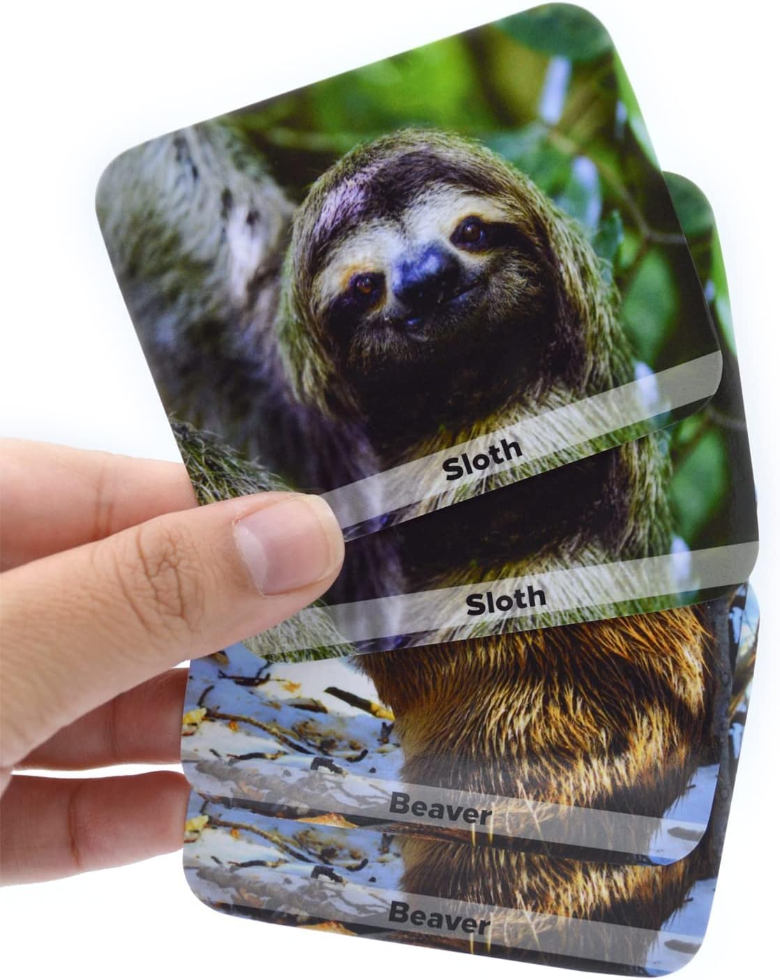 Menique Wild Animals Memory Matching Game – 80 Cards (40 Pairs) with Real Photos – Includes Educational Booklet with Animal Facts – Fun & Cognitive Game for Kids and Adults