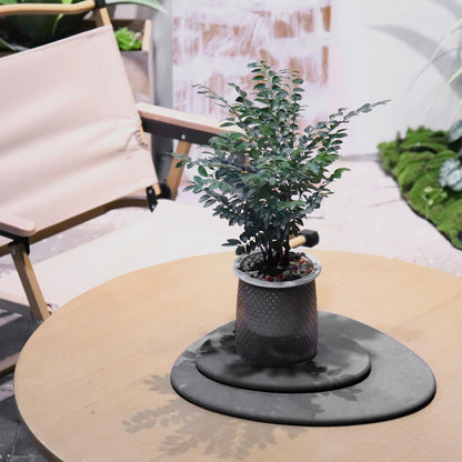 Elfcool Plant Saucer Quick Dry Absorbent Flower Pot Saucer Dirp Tray Diatomaceous Earth Mat for Indoor Outdoor Plants (8''-Dark Grey-2pack)