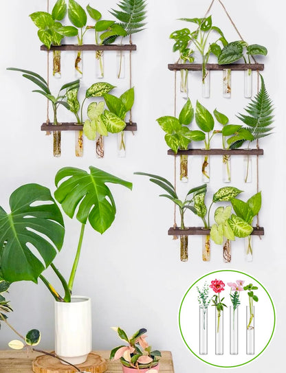 16 Tube Glass Plant Propagation Stations Clear Glass Test Tubes Tiered Planters Accessories for Home Office Plant Hanger Flower Vases Wall Decor Hydroponic Cuttings Clear Vases