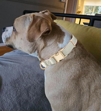 Luxury Soft Cotton Tweed Fabric Dog Collar & Leash Set with Gold Buckle – Durable Fabric, Stylish Design for Everyday Walks(Small Grey)