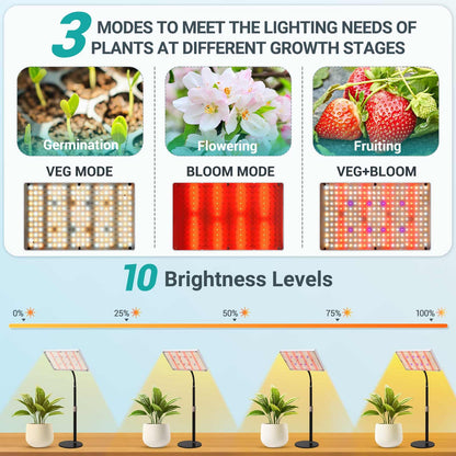 DragonLight Upgrade Desk LED Grow Lights, Full Spectrum Dimmable Grow Light with Remote Control for Greenhouse and Indoor Plant Veg and Flower Growing [Tabletop]