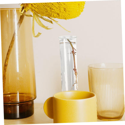 Healifty 4pcs Terrarium Supplies Glass Plant Vase Test Tube Vases for Flowers Plant Propagation Glass Tubes