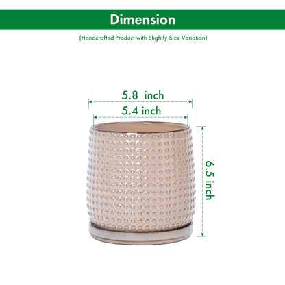 D'vine Dev 6 Inch Ceramic Beaded Stoneware Planter Pot - Flower Pot with Drainage Holes and Saucers for Indoor Succulent Plants or Flowers, Light Brown, 27-C-X-4