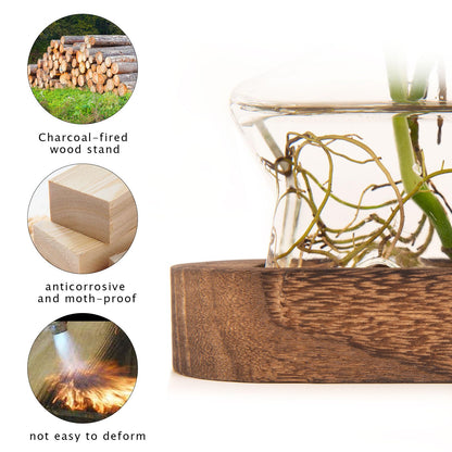 XXXFLOWER Plant Propagation Station with Wooden Stand,Air Plant Terrarium Starter Kits Star Vases for Flowers Plant Cutting Rooting Pots Indoor Hydroponic Glass Planter for Plant Lovers,3 Jars