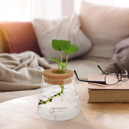 Homoyoyo 2pcs Glass Hydroponic Plants Vase Small Terrarium Flower Pots Desktop Water Planting Decoration for Home and Office