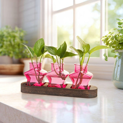XXXFLOWER Plant Propagation Station with Wooden Stand，Air Plant Terrarium Starter Kits Star Vases for Flowers Plant Cutting Rooting Pots Indoor Hydroponic Glass Planter for Plant Lovers,3 Jars(Pink)