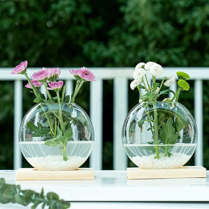Kingbuy Round Glass Desktop Planter with Wooden Stand - Propagation Vase for Hydroponic Plants, Spider Plants, Pothos in Home Office Decor, 2-Pack, Beige