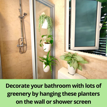 LalaGreen Bundle - 5" Pot + 2 Wooden Plant Holder, White Self Watering Pot, Wall Hanging Planters for Indoor and outdoor,Wall Mount Air Plants Succulent Holder Hanger,Vertical Garden Plant Stand Decor